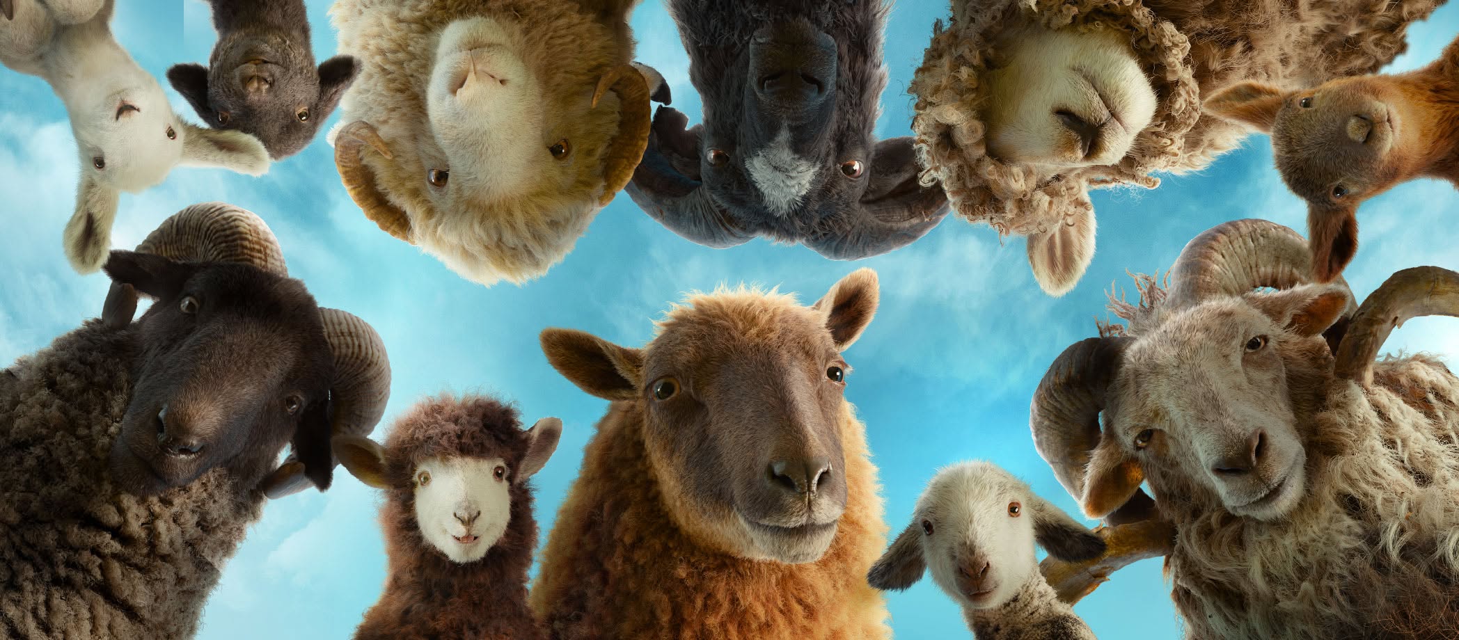 The Sheep Detectives movie banner